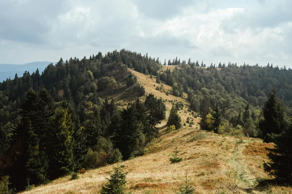 Güzel muhteşem manzara — Stok fotoğraf