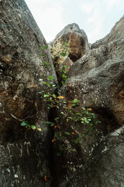 muhteşem manzaralı