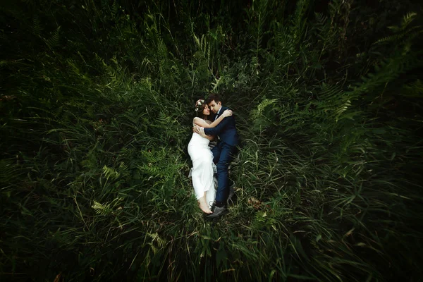 Beautiful wedding couple — Stock Photo, Image