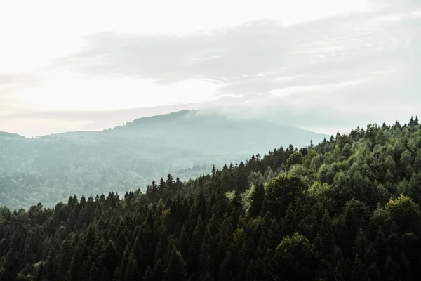 Úžasný výhled na krajinu — Stock fotografie