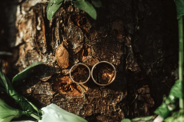 Anéis de casamento elegantes — Fotografia de Stock