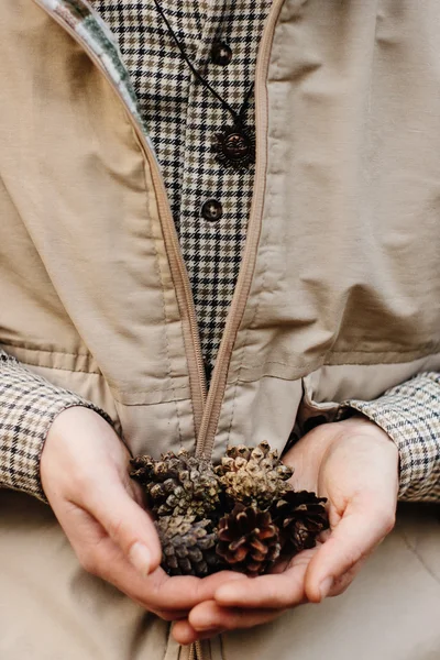 Cones de pinheiro naturais em mãos — Fotografia de Stock