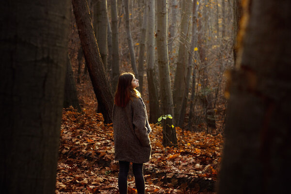 Gorgeous happy brunette girl walking in sunny autumn forest