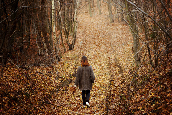 Gorgeous happy brunette girl walking in sunny autumn forest