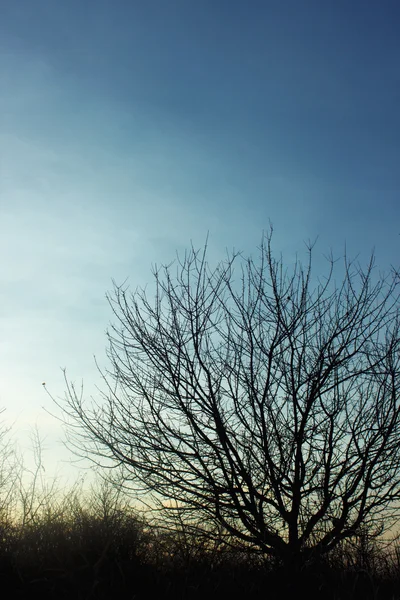 Magnífico cielo colorido otoño — Foto de Stock