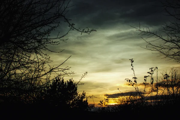 Prachtvoller herbstlicher farbenfroher Himmel — Stockfoto