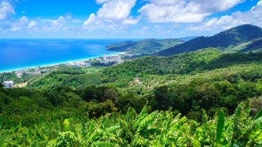 Tropikal yeşil ve okyanus