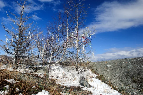 Bergpass mit Schnee bedeckt — Stockfoto