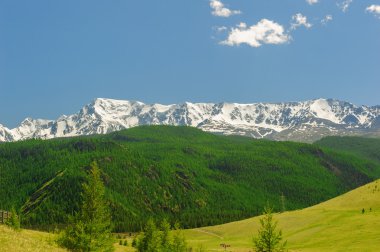 Sıcak yaz günü Altay manzara