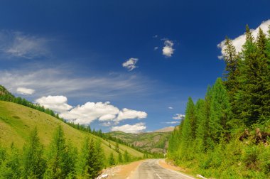 Hot summer day landscape in Altai clipart