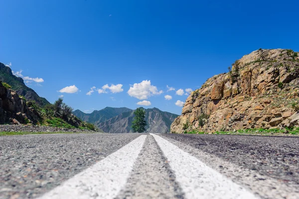 Hot summer day landscape in Altai — Stock Photo, Image