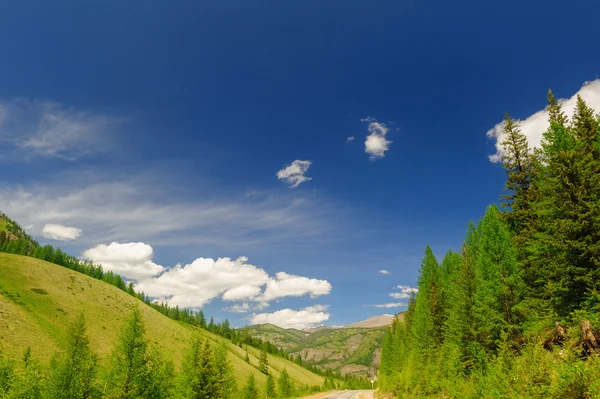 Paysage chaud de jour d'été en Altaï — Photo