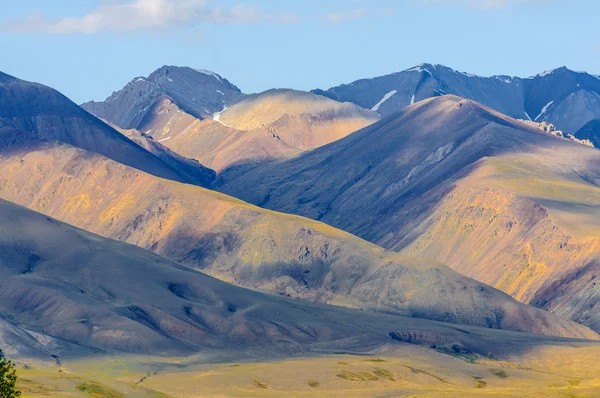 Heißer Sommertag Landschaft im Altai — Stockfoto