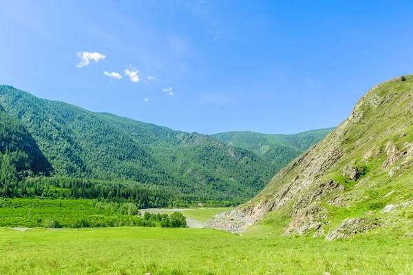 Paysage chaud de jour d'été en Altaï — Photo