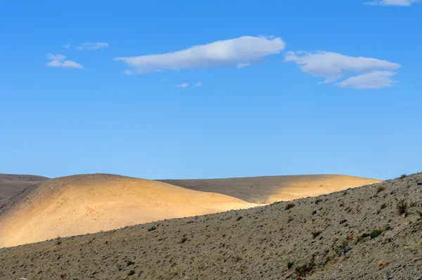 Paisaje caluroso de verano en Altai — Foto de Stock