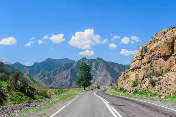 Hot summer day landscape in Altai — Stock Photo, Image