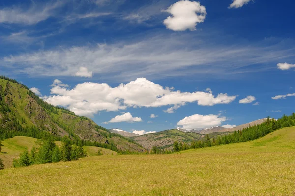 Paysage chaud de jour d'été en Altaï — Photo