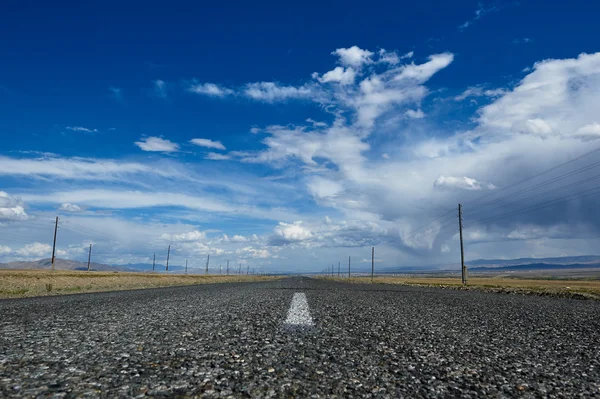 Hot day in Altai steppe — Stock Photo, Image