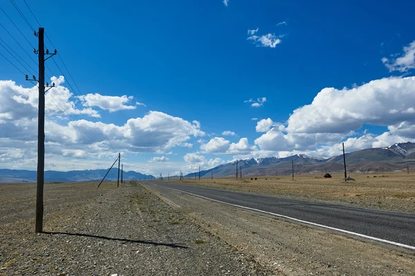 Hot day in Altai steppe — Stock Photo, Image