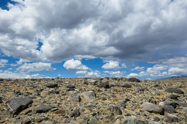 Journée chaude dans la steppe Altai — Photo