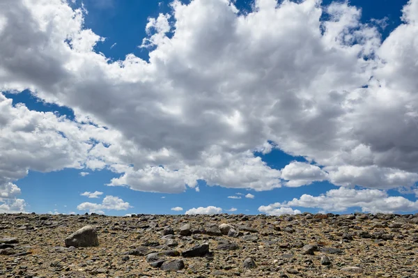 Heißer Tag in der Altai-Steppe — Stockfoto