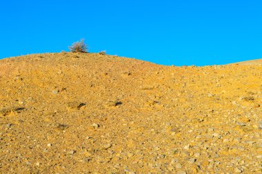 Altay yataklarında Merkür renk toprak