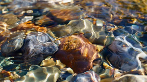 Agua cristalina de pequeño arroyo — Foto de Stock