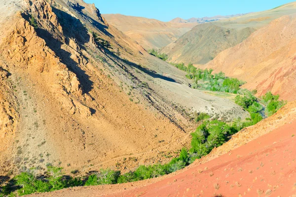 Suelo de color de los depósitos de mercurio en Altai —  Fotos de Stock