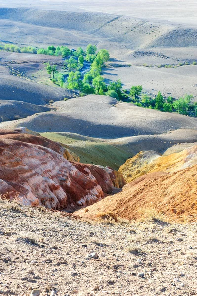 Suelo de color de los depósitos de mercurio en Altai —  Fotos de Stock