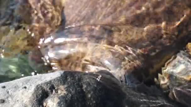 Kristal berraklığında su ışık ve gölge desen — Stok video