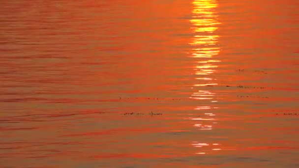 Malowniczy zachód słońca nad rzeka spokojny — Wideo stockowe
