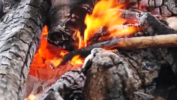 Asche und Flamme auf brennendem Baumstamm im Feuer — Stockvideo