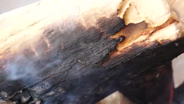 Las cenizas y la llama sobre el tronco ardiendo en el fuego — Vídeo de stock
