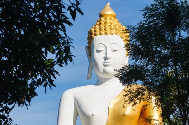Wat Doi Kham, Buda heykelleri