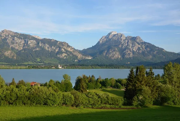 Forggensee 'de. Forggensee, Almanya 'da Bavyera eyaletinde yer alan bir şehirdir. Arka planda Bavyera 'nın en ünlü şatosunu ve Avrupa' nın en ünlü kalelerinden Neuschwanstein 'ı görebilirsiniz.