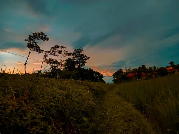 Cianjur Java Occidental Indonesia Diciembre 2020 Paisajes Campo Cianjur Diciembre — Foto de Stock