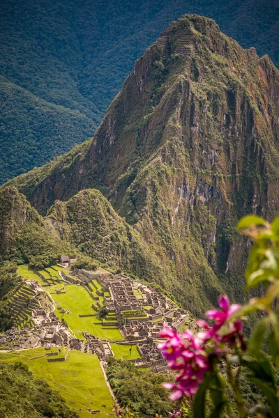 Machu Picchu Machu Micchu dağdan görüldüğü gibi