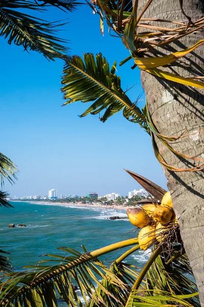 Sri Lanka'nın sermaye kıyı şehri, Columbo