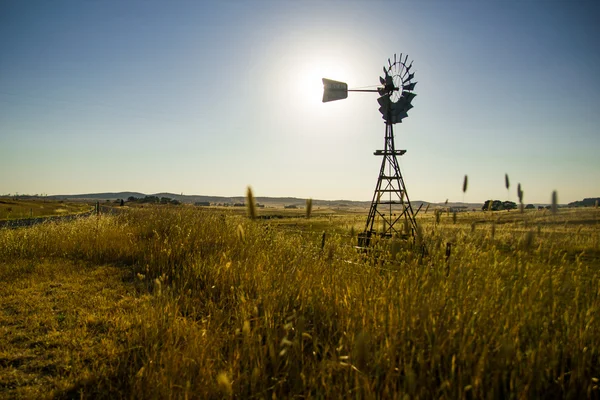 Windmill silouhetted in rural wheat field