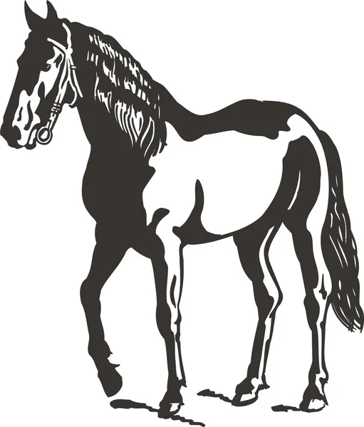 Cavalo —  Vetores de Stock