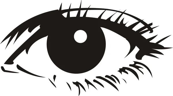 Eye, eyeball — Stock Vector