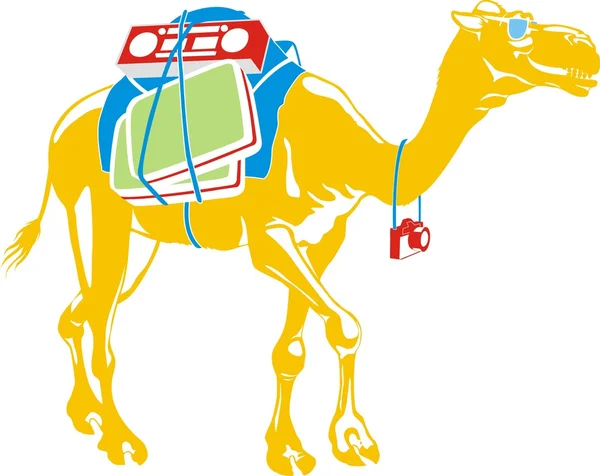 Camel — Stock Vector