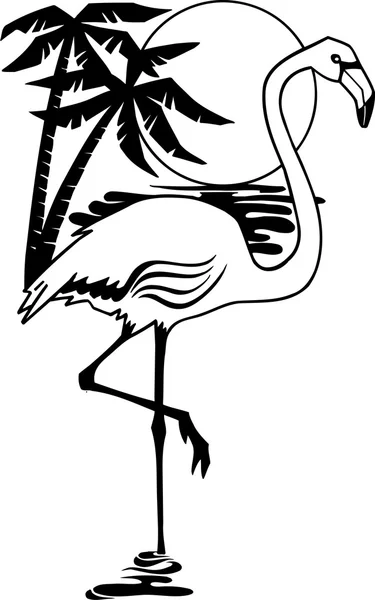 Flamingo — Archivo Imágenes Vectoriales