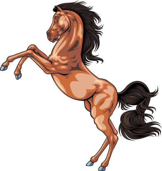 Лошадь — стоковый вектор