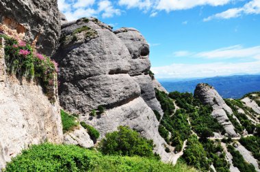 Dağ manzarası. Bitkisiz dağ manzarası. Rocky Dağları.