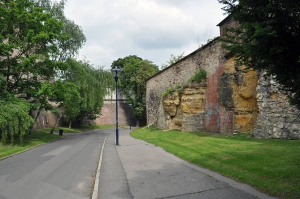 Mur Forteresse Différentes Pierres Parmi Les Arbres Jour Été Restes — Photo