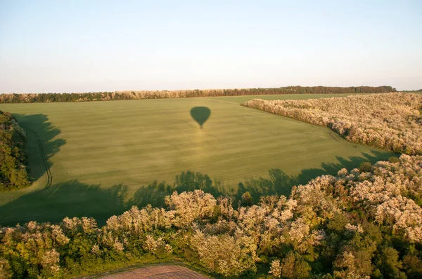 Vista Panorâmica Superior Campo Verde Árvores Verão Dia Ensolarado — Fotografia de Stock