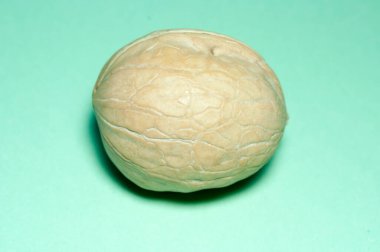 Mavi arka planda ceviz meyvesi. Arkaplan, doku, tasarım.