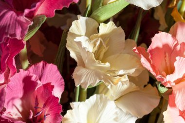 Bir buket yapay gladioli, pembe ve beyaz çiçekler. Arkaplan, doku, tasarım.
