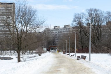 Güneşli bir günde şehir parkının zeminine karşı çok katlı evler..